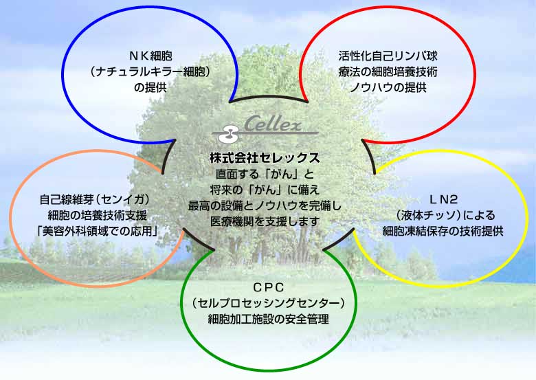 株式会社セレックス　トップメニュー